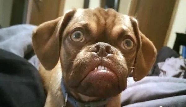 kyrgyzstan-surrogacy