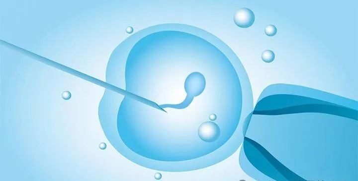 the core requirements and the entire process of IVF