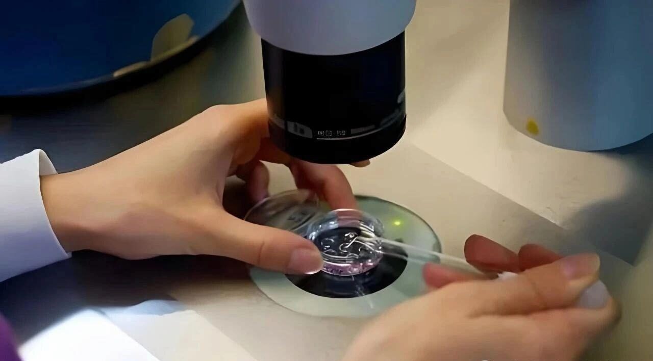 Seven Differences Between IVF and Natural Pregnancy