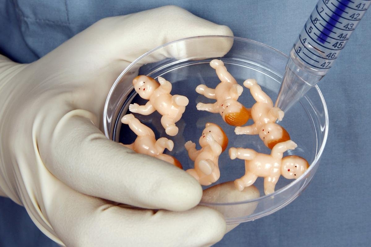 the IVF PPOS Program