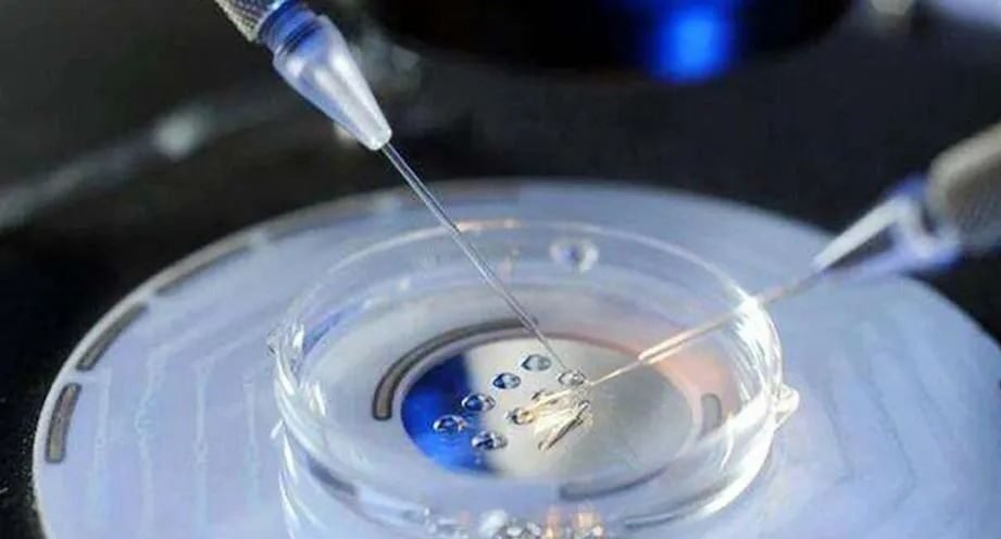 The Three Golden Rules of IVF Success