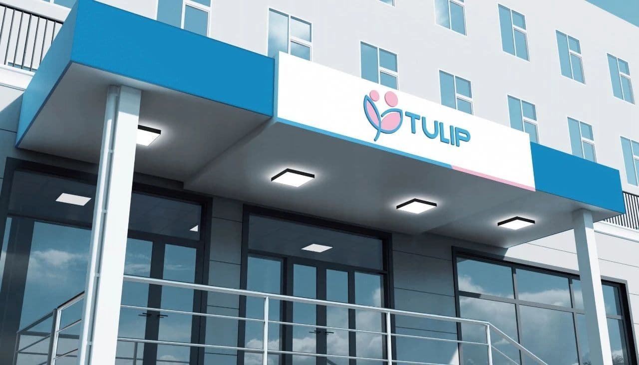 2025 Ultimate Guide to IVF in Three Central Asian Countries: Georgia, Kazakhstan, and Kyrgyzstan